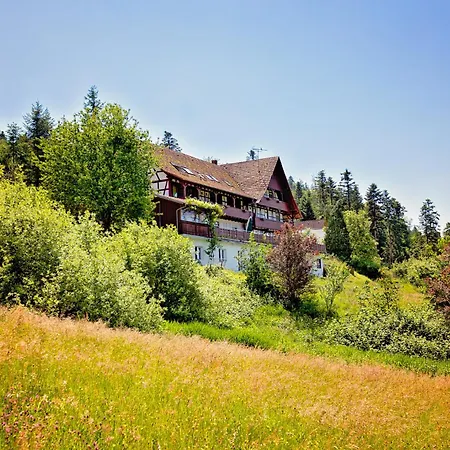 Apartment Haus Nilson Gengenbach