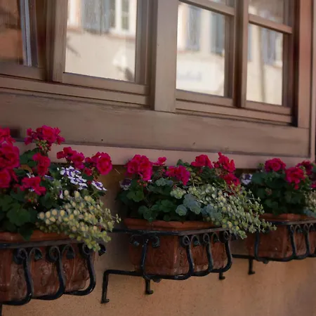 Haus Nilson * Gengenbach