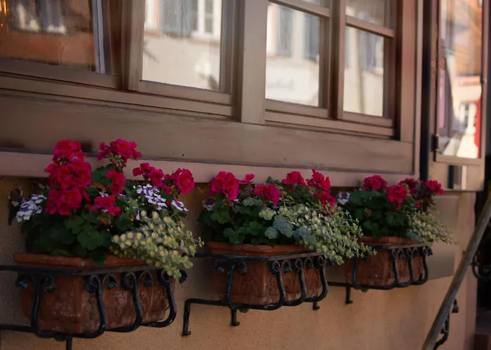 Haus Nilson * Gengenbach